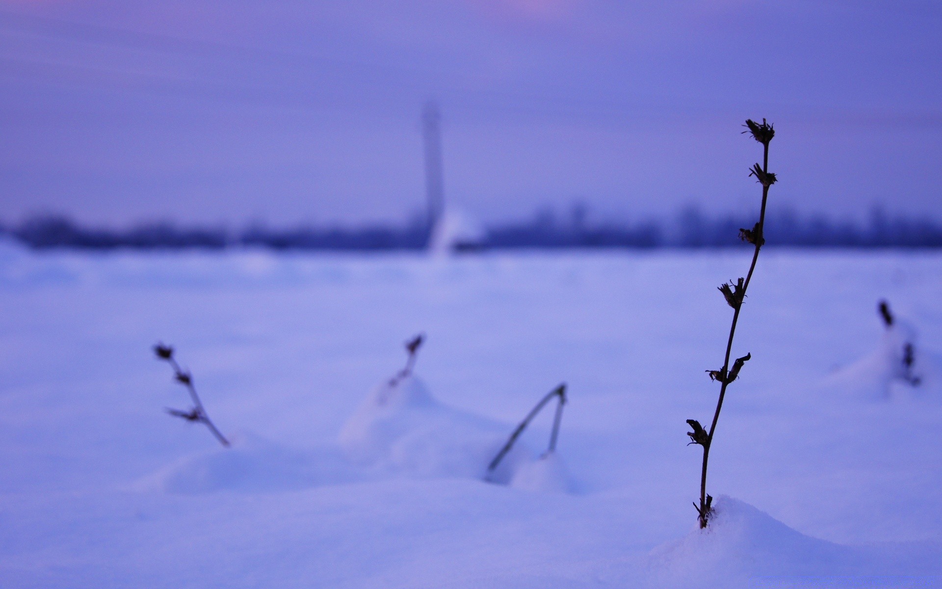 invierno cielo agua naturaleza al aire libre pájaro amanecer nieve puesta del sol lago