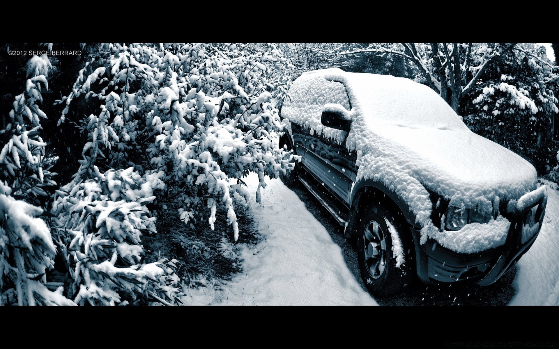 invierno nieve escarcha congelado hielo frío helado helado naturaleza