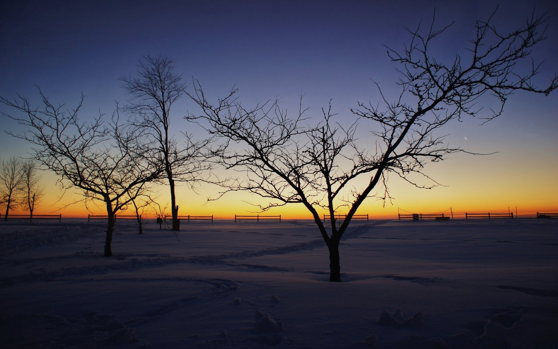 inverno paesaggio alba tramonto albero sera silhouette sole natura illuminato cielo crepuscolo tempo scenico