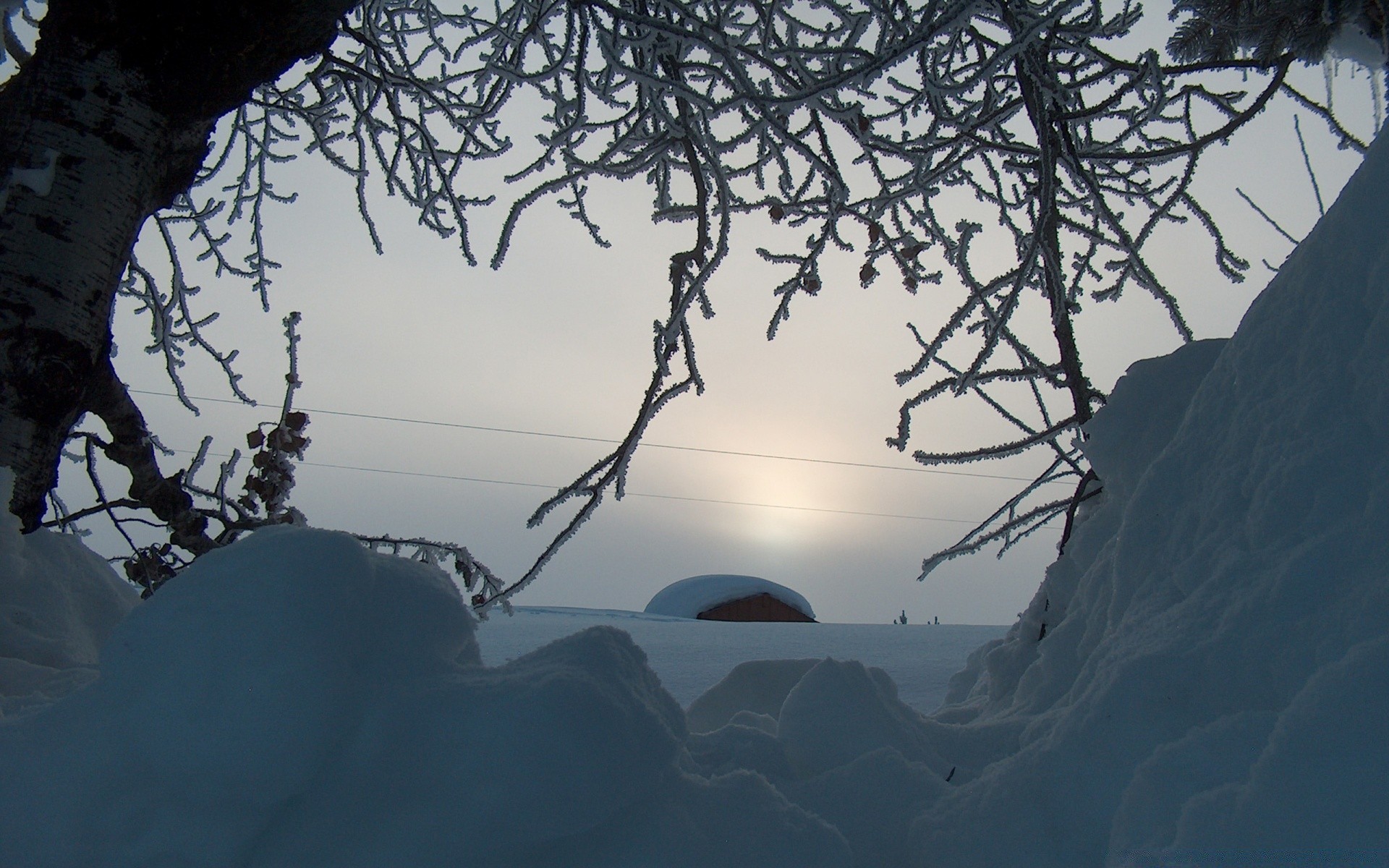 winter snow landscape cold tree nature weather dawn sky ice outdoors environment light silhouette travel season wood frost