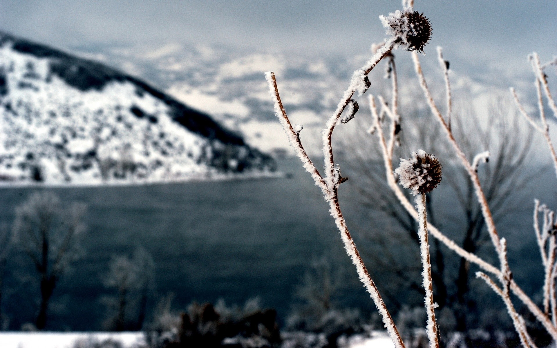 winter snow frost nature outdoors frozen cold sky season blue sky landscape ice tree fair weather wood mountain weather travel