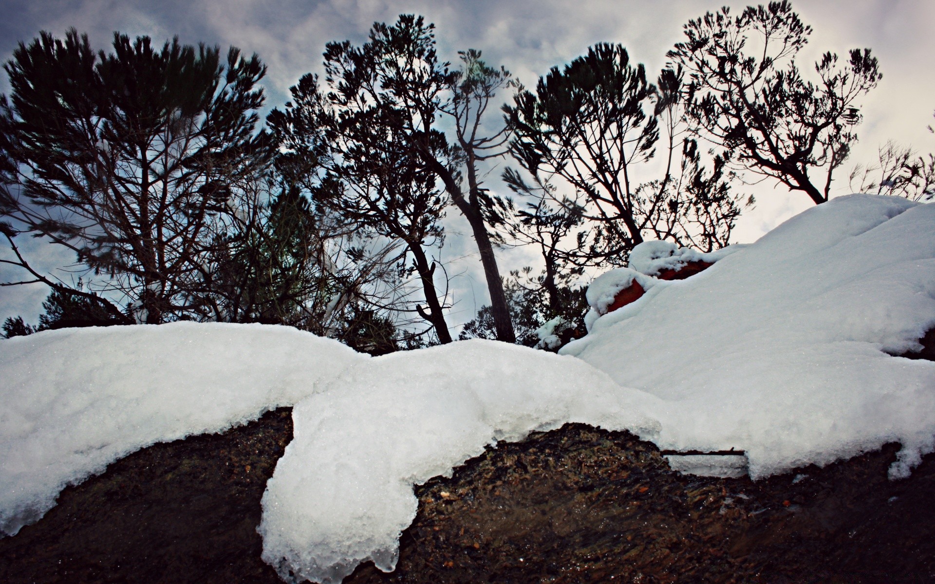 inverno neve freddo congelato ghiaccio albero gelo paesaggio tempo all aperto natura legno montagna viaggi cielo tempesta di neve scenico