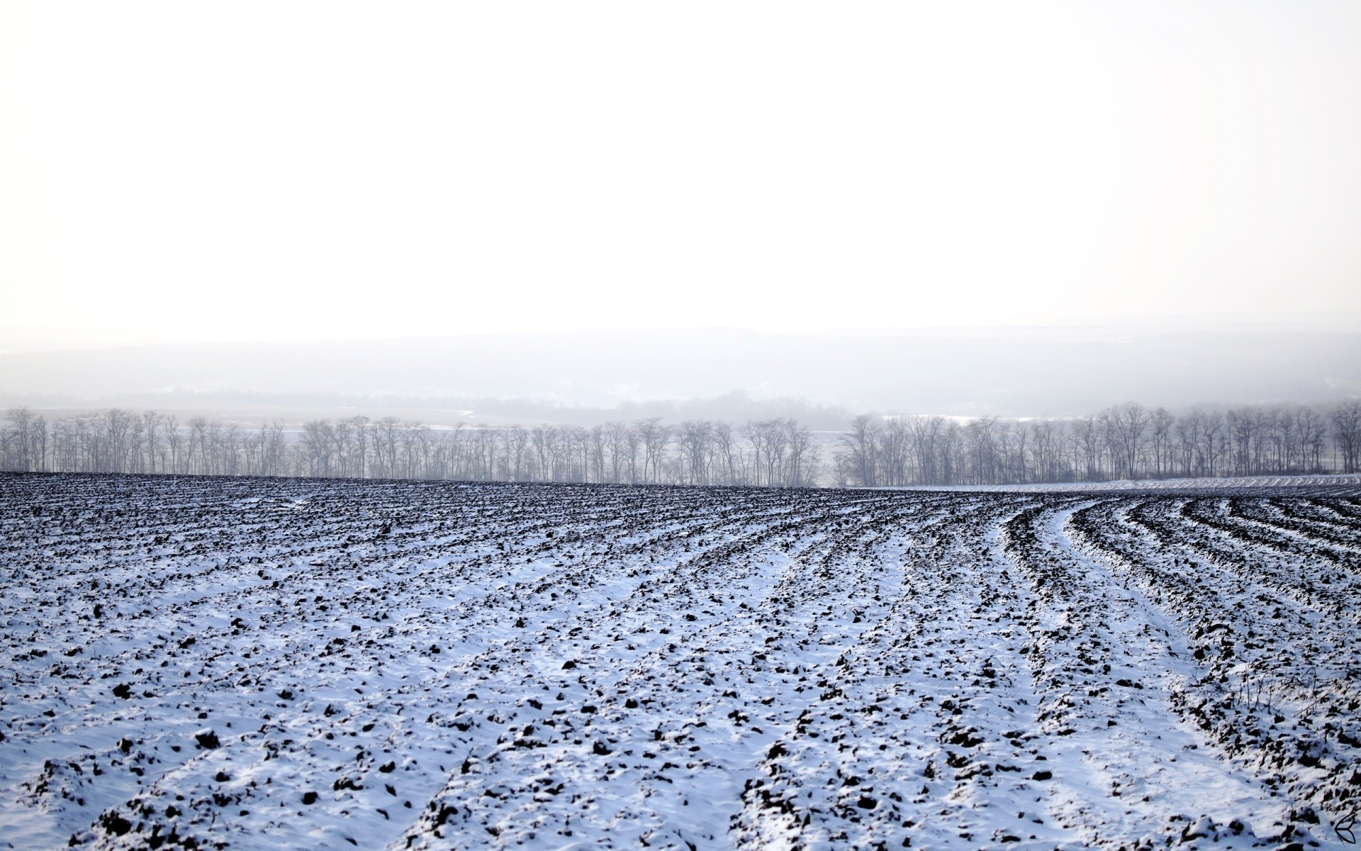 hiver gel neige nature en plein air froid glace paysage agriculture congelés météo