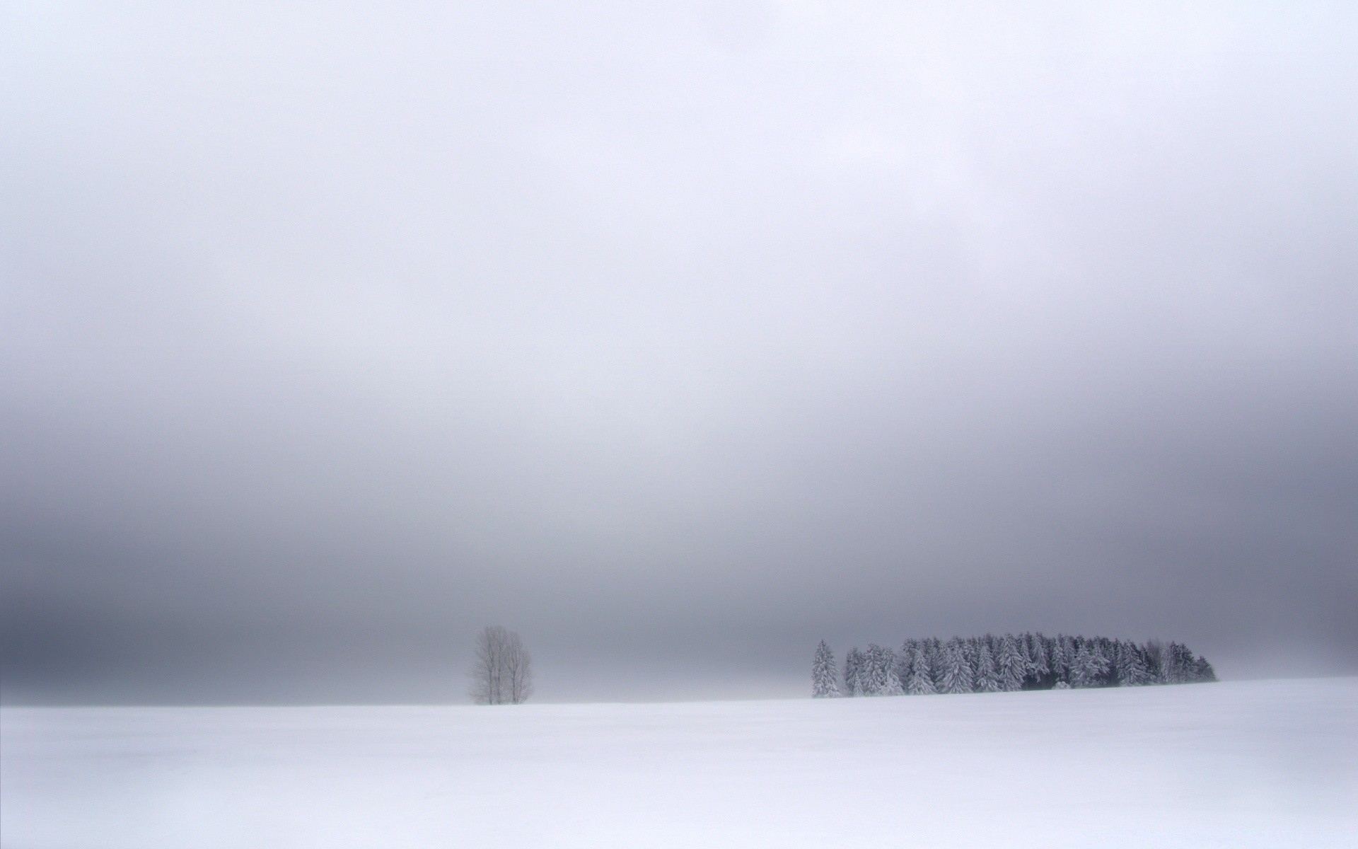 invierno niebla nieve niebla paisaje frío hielo naturaleza agua al aire libre clima cielo escarcha tormenta monocromo arte lago congelado luz