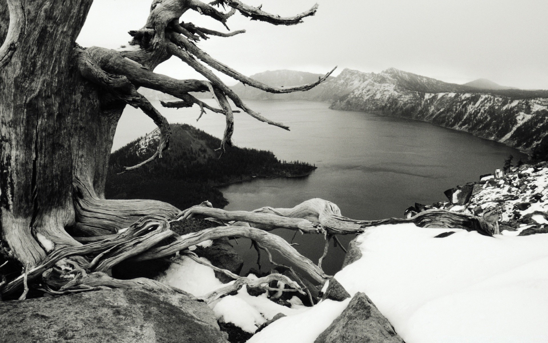 hiver eau monochrome lac arbre rock rivière paysage nature voyage neige montagne à l extérieur un mer