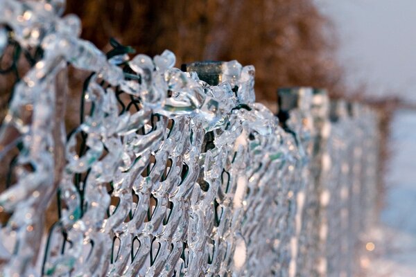 Una mirada de invierno fascinante para el Escritorio