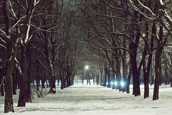 Vicolo invernale con lanterne e alberi