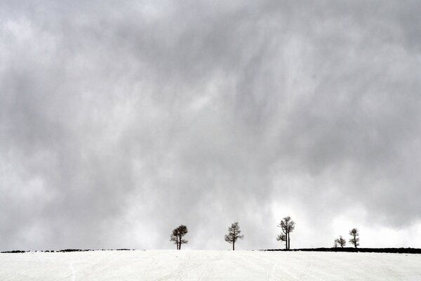 Humo en la nieve. Paisaje de invierno