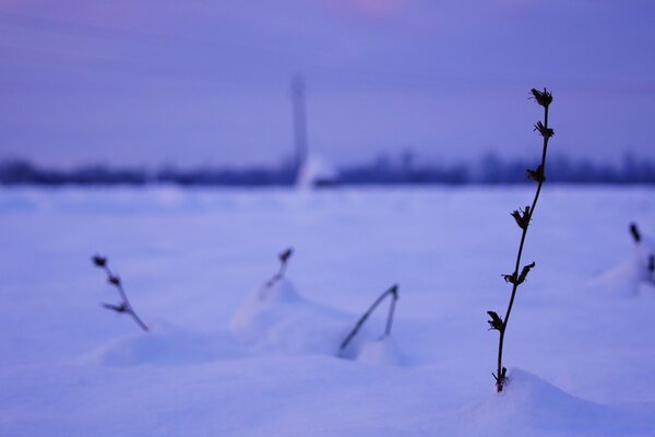 Winter Natur im Freien