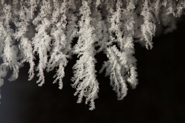 Winter, Frost und schöne Natur