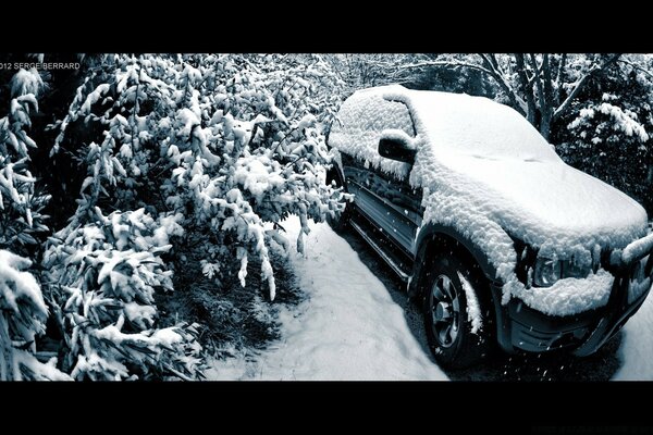 A snow-covered car alone in the forest