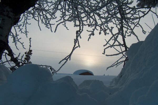 Winterlandschaft mit verschneitem Baum