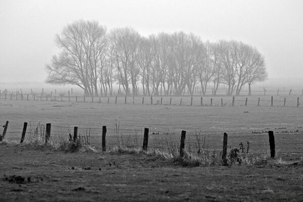 Monochrome Schwarz-Weiß-Landschaft