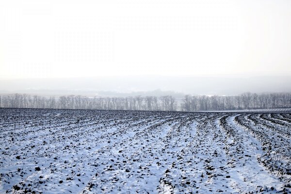 Winter field with snow