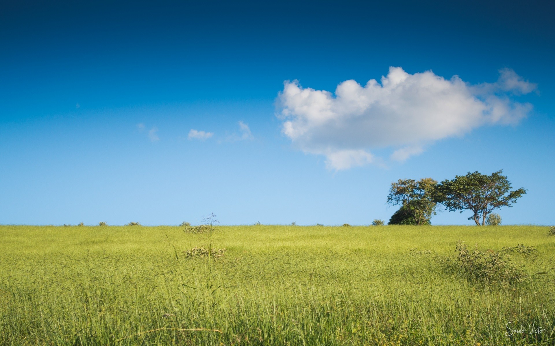 paysage champ paysage rural foin agriculture ciel herbe pâturage ferme horizon nature campagne croissance été pâturage soleil beau temps à l extérieur récolte