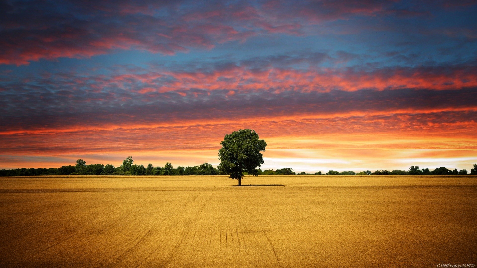 paesaggio tramonto alba sole crepuscolo sera natura cielo paesaggio estate bel tempo acqua