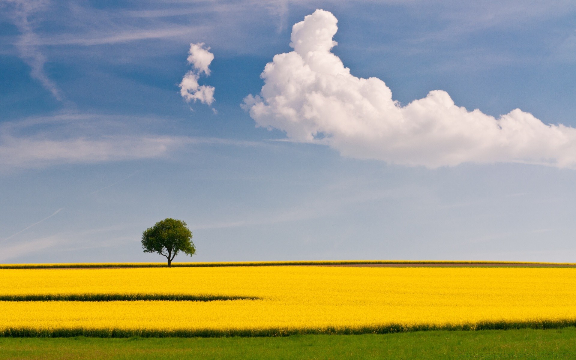 paysage agriculture paysage nature champ ferme ciel rural extérieur récolte campagne arbre été horizon pâturage nuage terres cultivées herbe beau temps lumière du jour