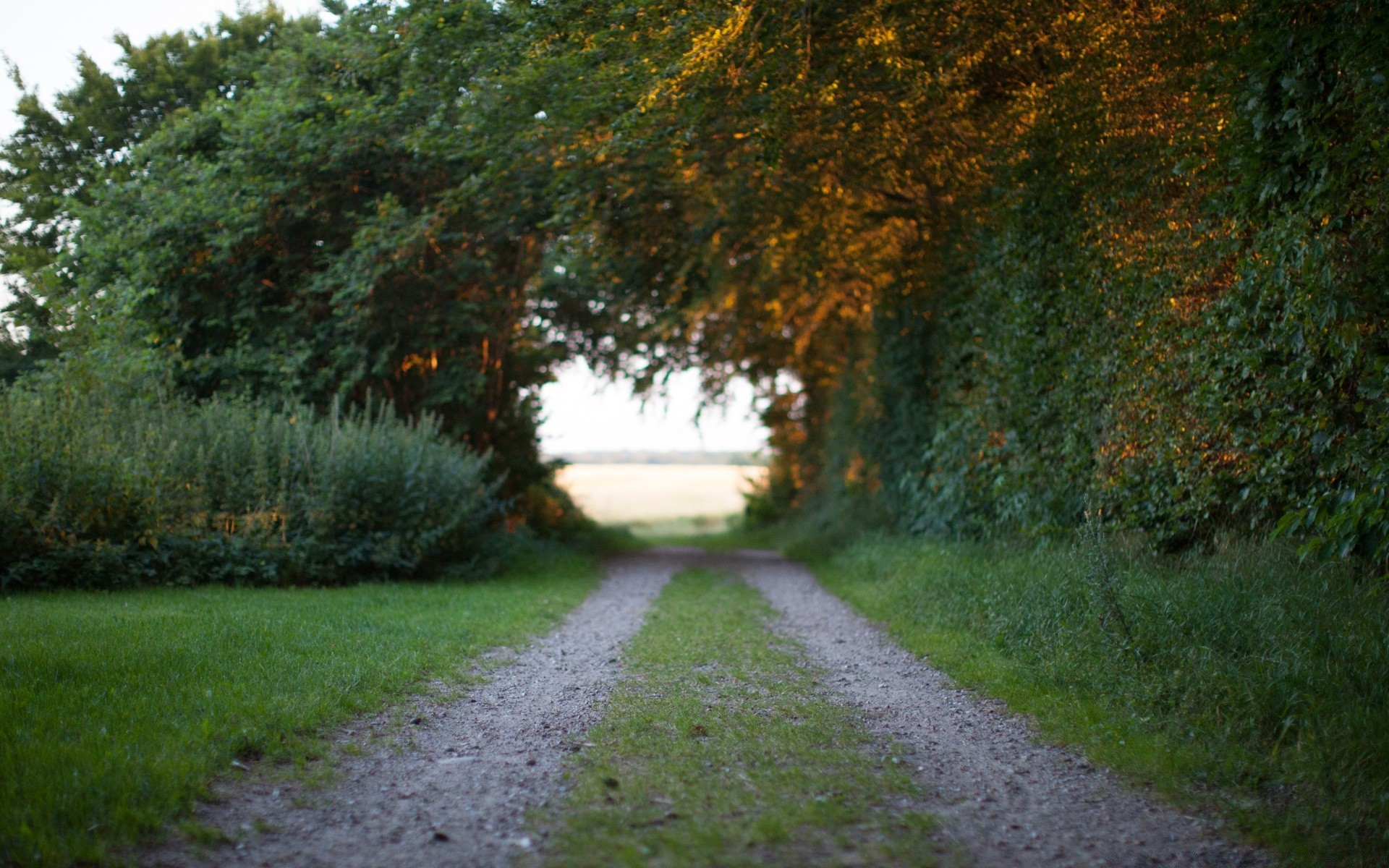 landschaft straße landschaft baum führung blatt natur herbst park gras im freien holz umwelt landschaft ländliche