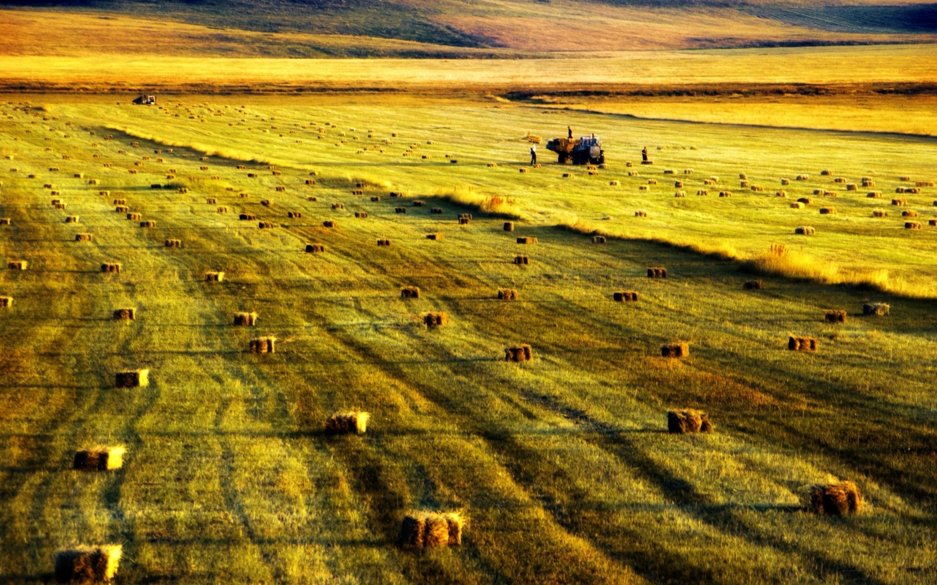 paysage à l extérieur agriculture paysage nature voyage terres cultivées ferme