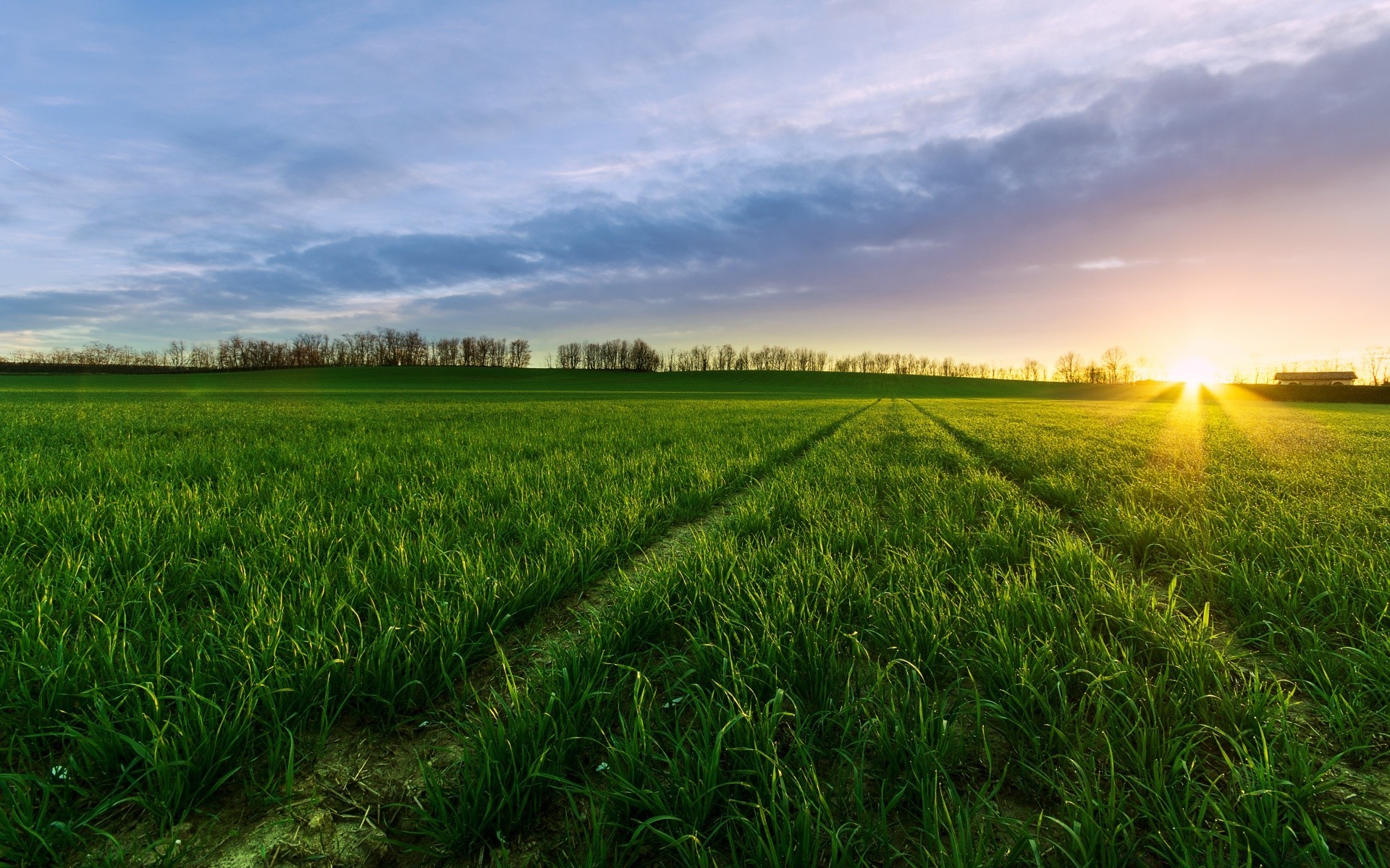 landschaft feld gras ländliche landschaft landwirtschaft landschaft weide natur sonne boden bauernhof flocken sommer weizen himmel gutes wetter wachstum ackerland heuhaufen