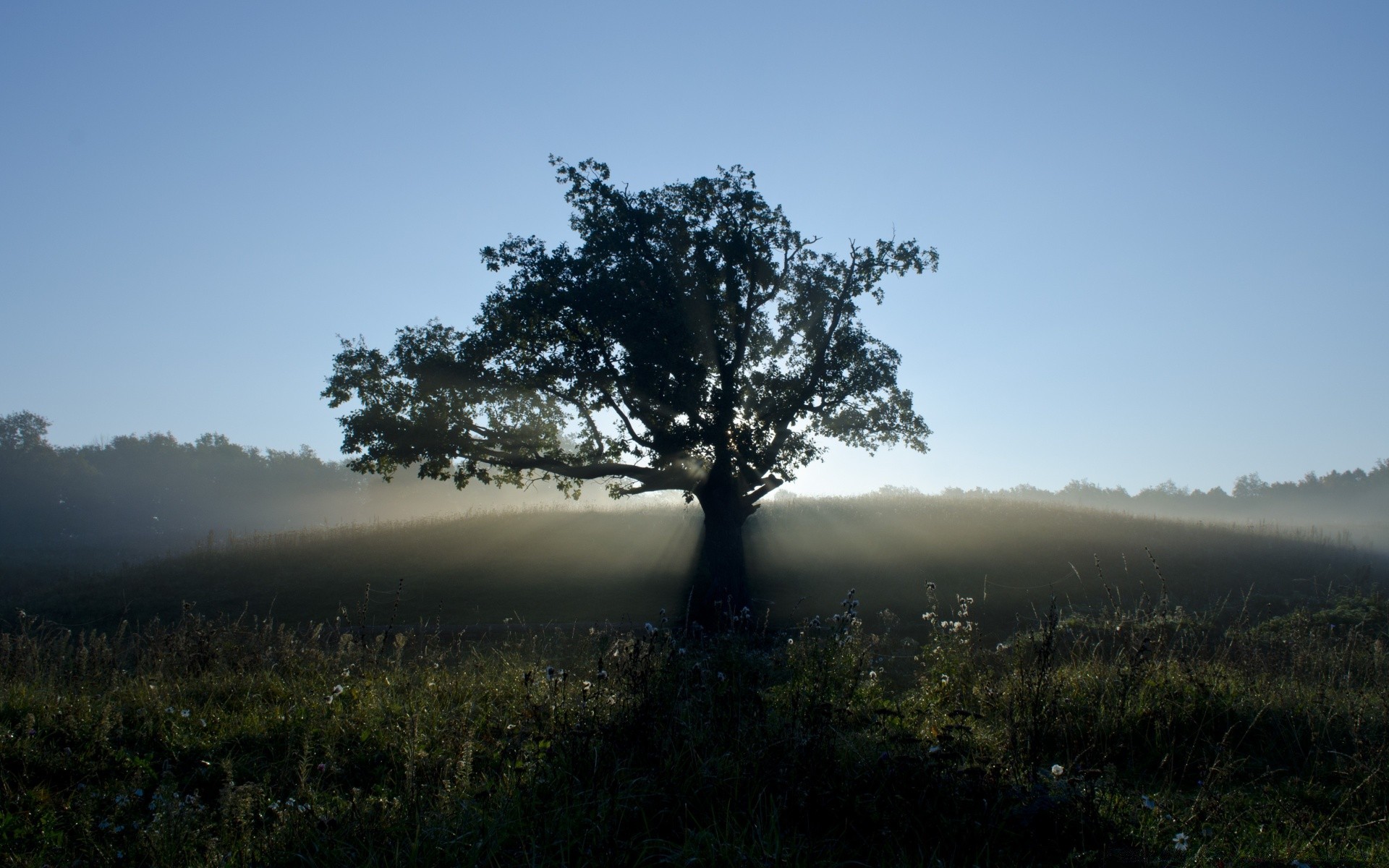 paysage paysage bois brouillard nature brouillard ciel bois aube à l extérieur coucher de soleil voyage montagnes lumière scénique environnement soleil