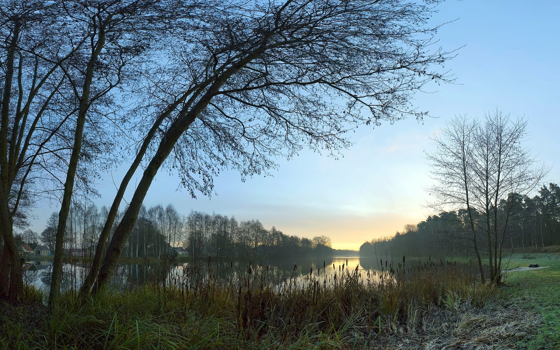 lago paesaggio albero natura alba legno nebbia cielo all aperto sole erba autunno bel tempo scenico stagione campagna tempo nebbia parco
