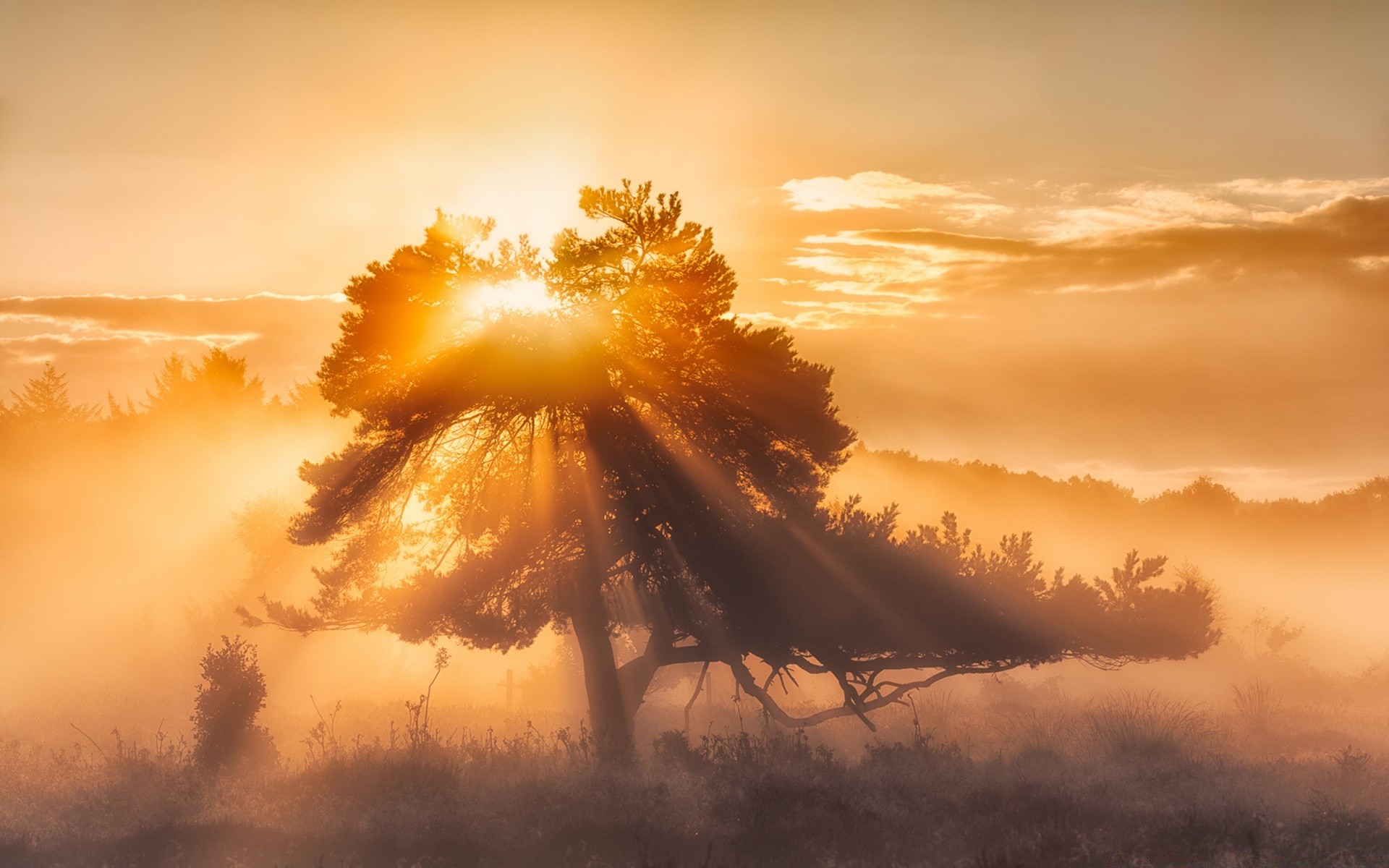 landschaft sonnenuntergang dämmerung sonne himmel abend natur landschaft hintergrundbeleuchtung baum wetter gutes wetter dämmerung im freien silhouette licht sturm