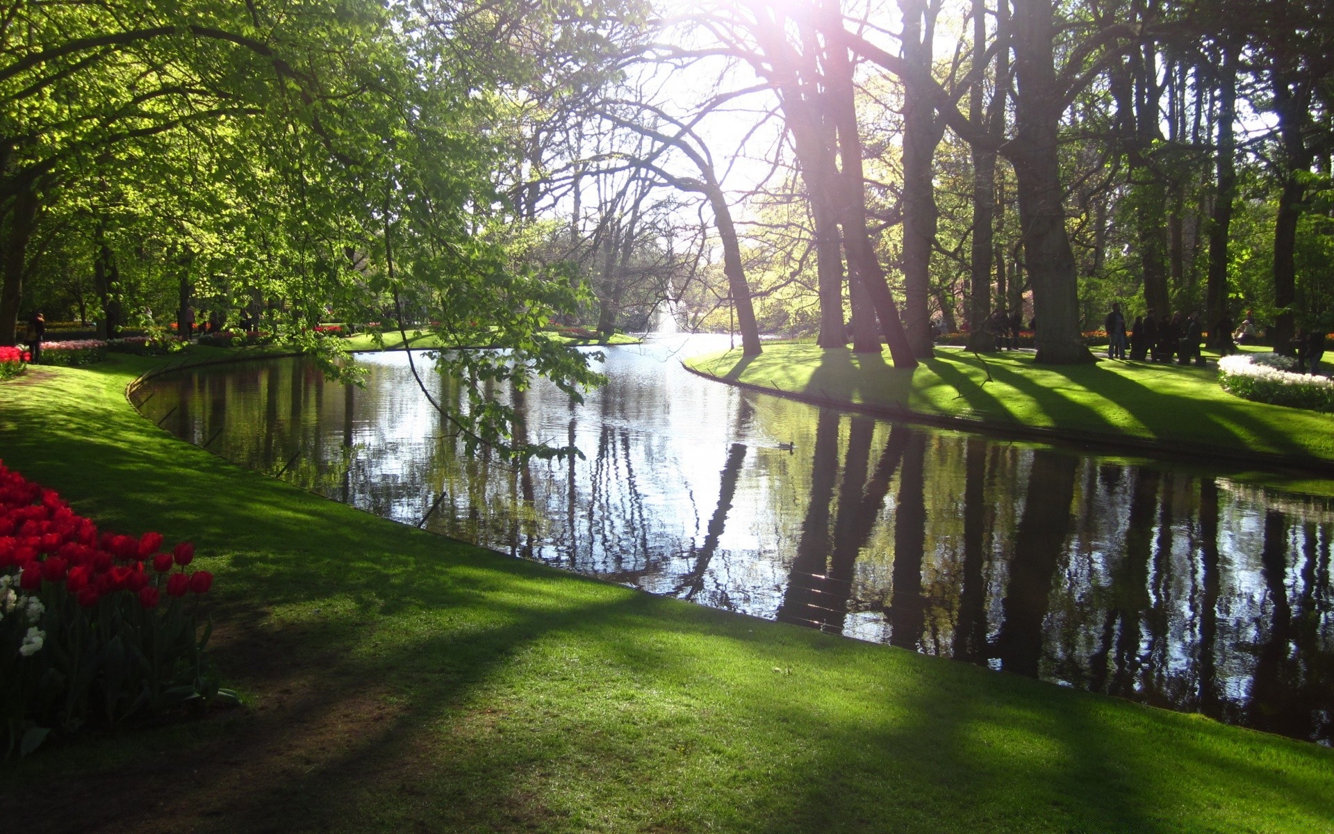 paysage paysage arbre bois parc nature herbe eau scénique guide environnement feuille à l extérieur jardin rivière lac été piscine réflexion aube