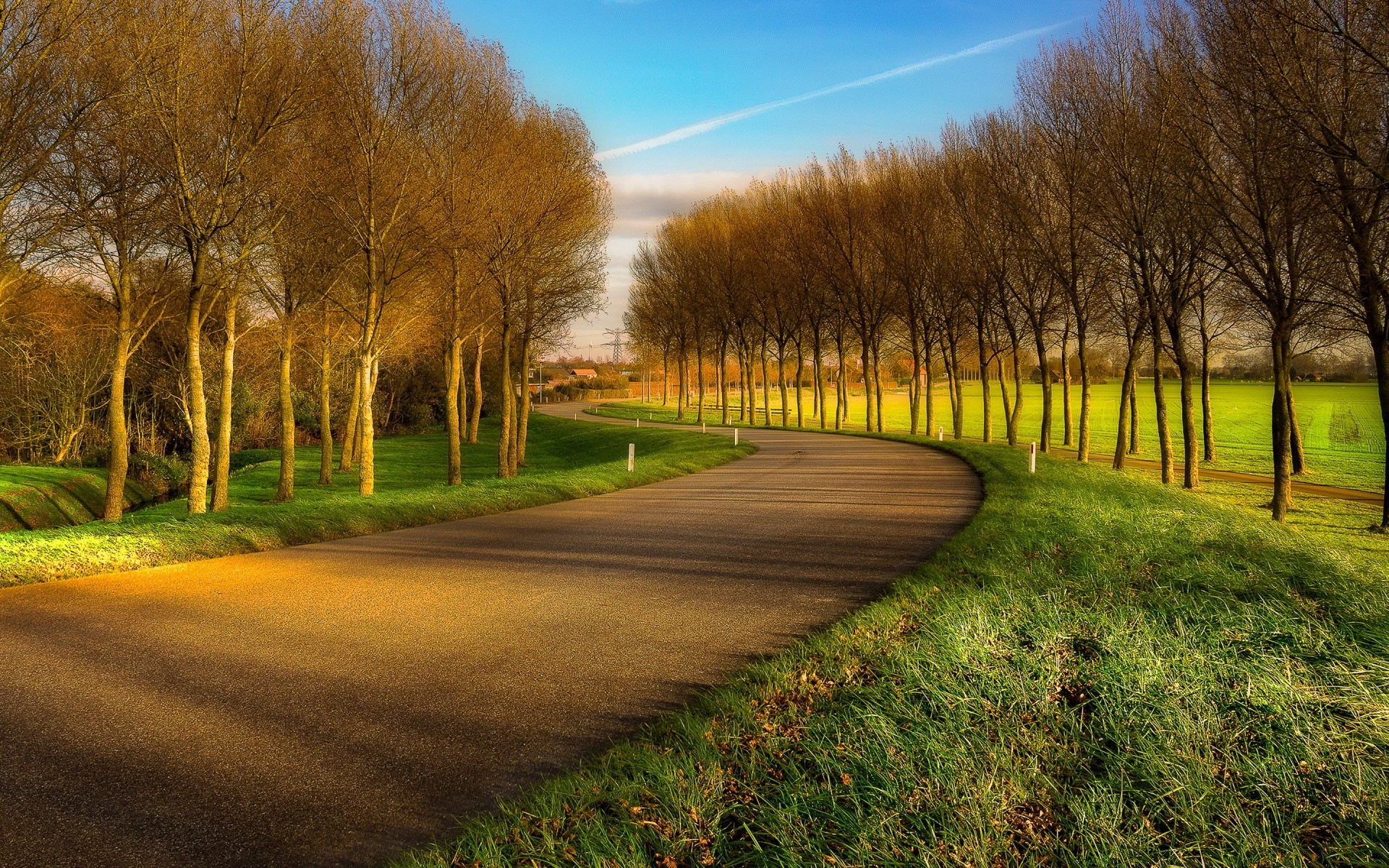 paisagens paisagem árvore grama estrada outono amanhecer natureza guia campo rural país campo ao ar livre