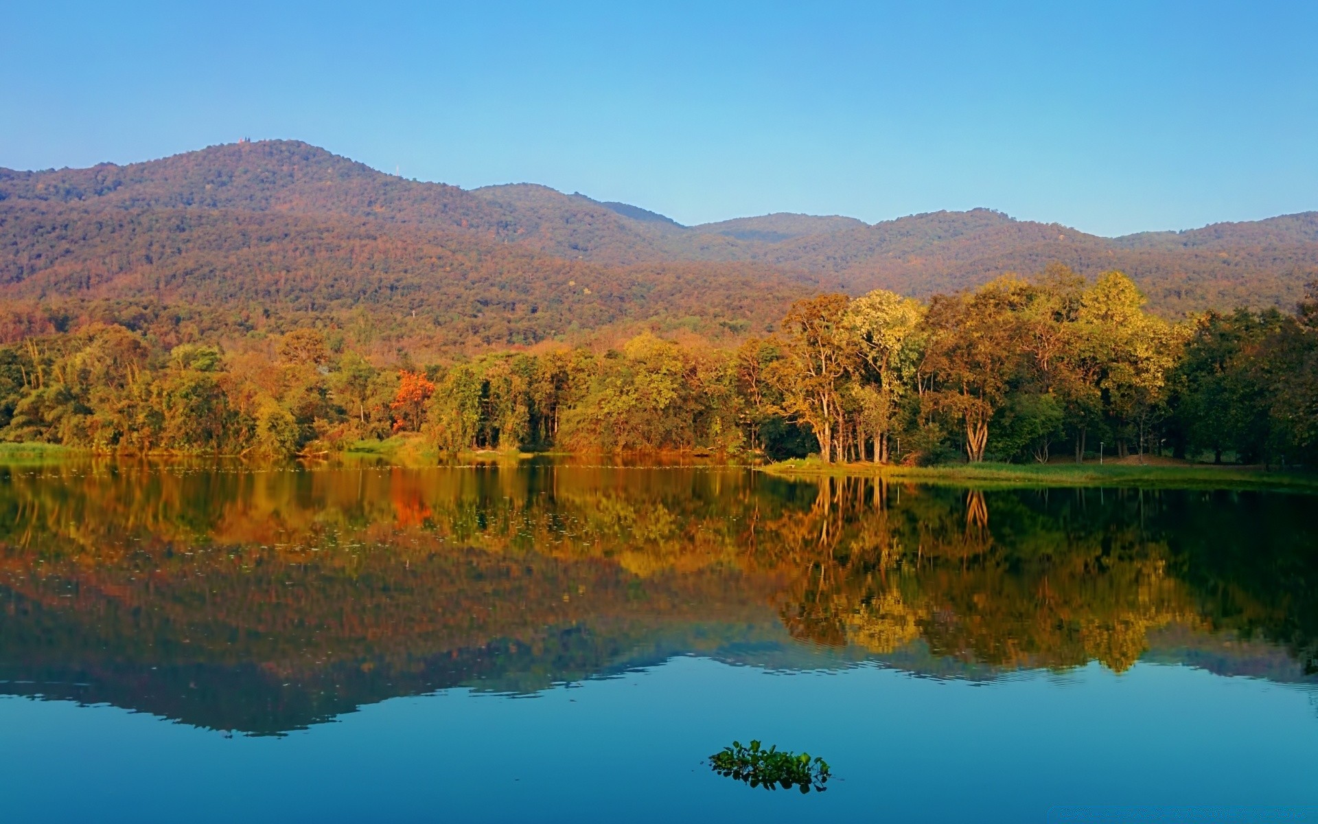 lago agua paisaje naturaleza árbol viajes cielo al aire libre escénico madera reflexión río otoño montañas hoja