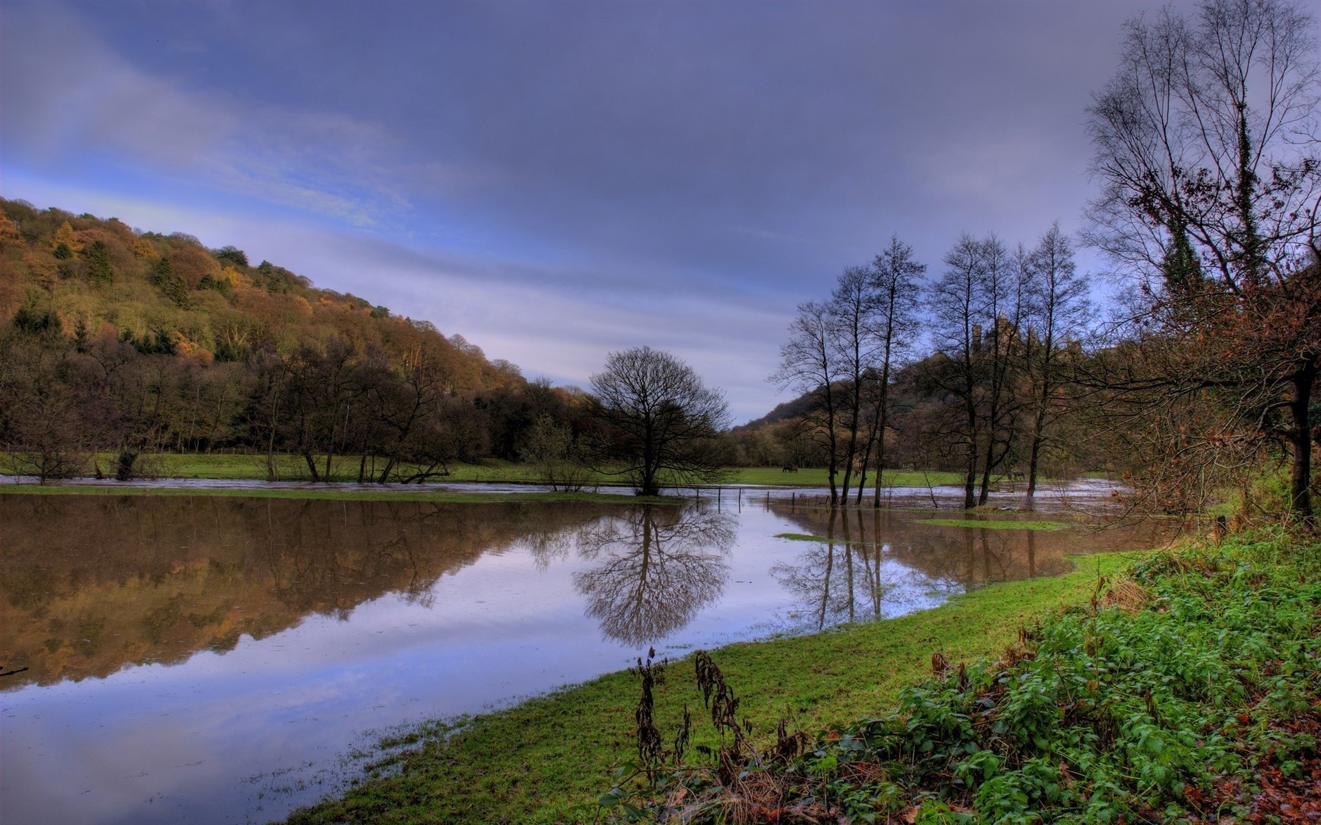lake landscape tree water river reflection nature dawn fall outdoors grass sky wood pool evening