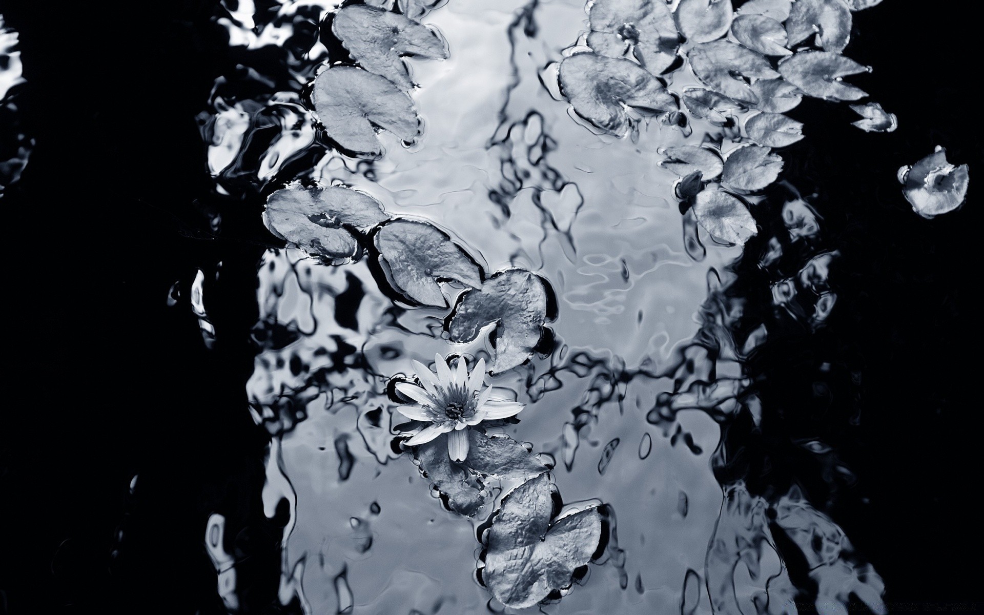 laghi splash movimento acqua natura bagnato pulito liscio astratto caduta