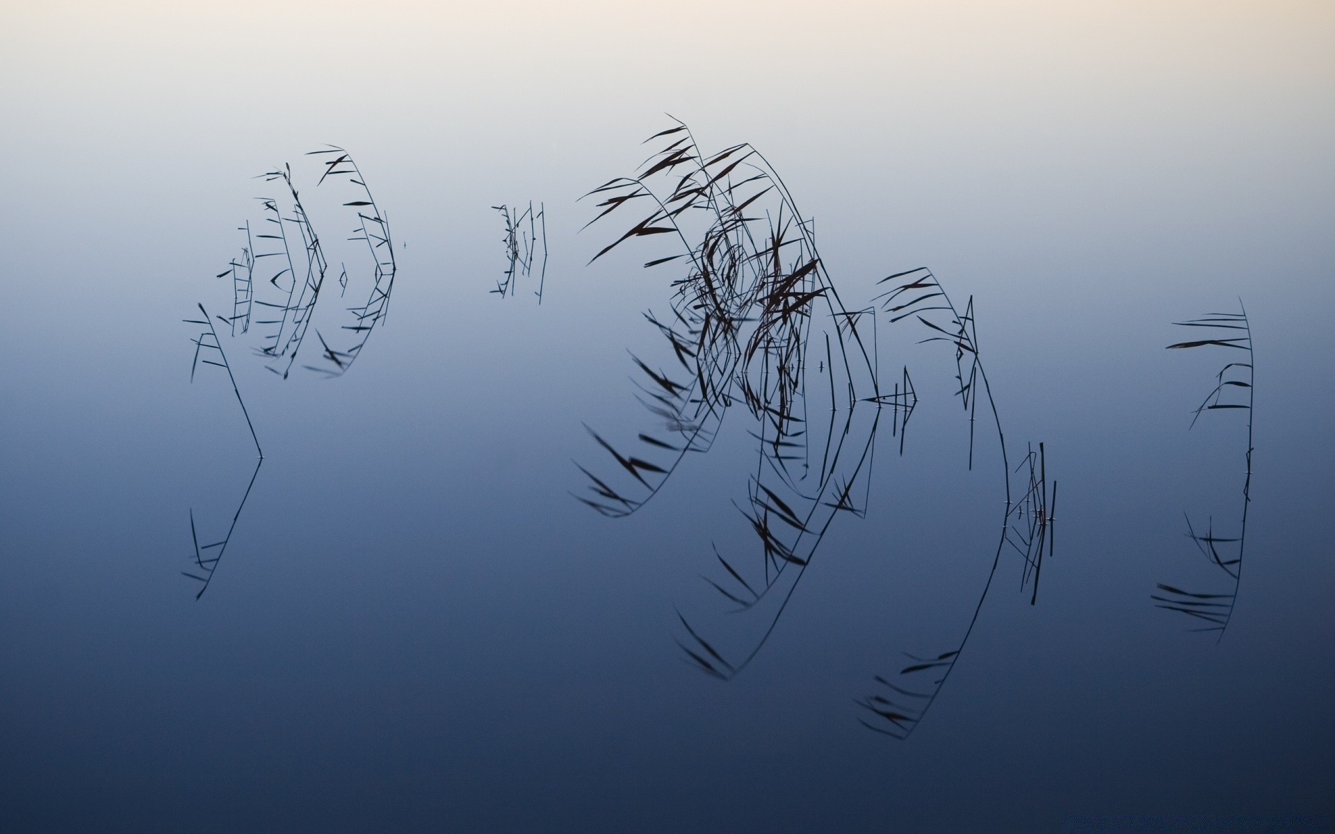 see natur himmel winter desktop