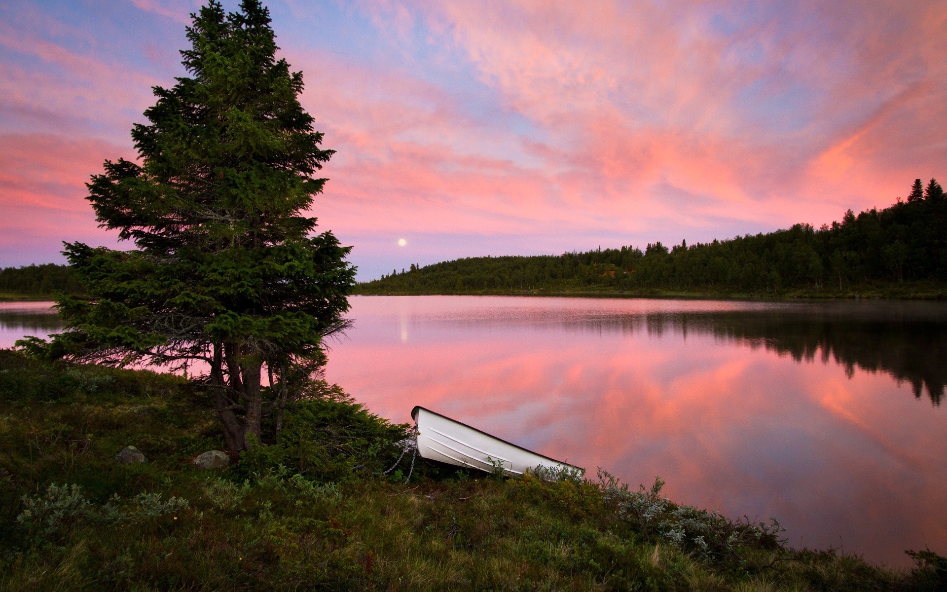 lac arbre eau paysage aube nature à l extérieur réflexion coucher de soleil rivière été sang-froid ciel bois plesid soir