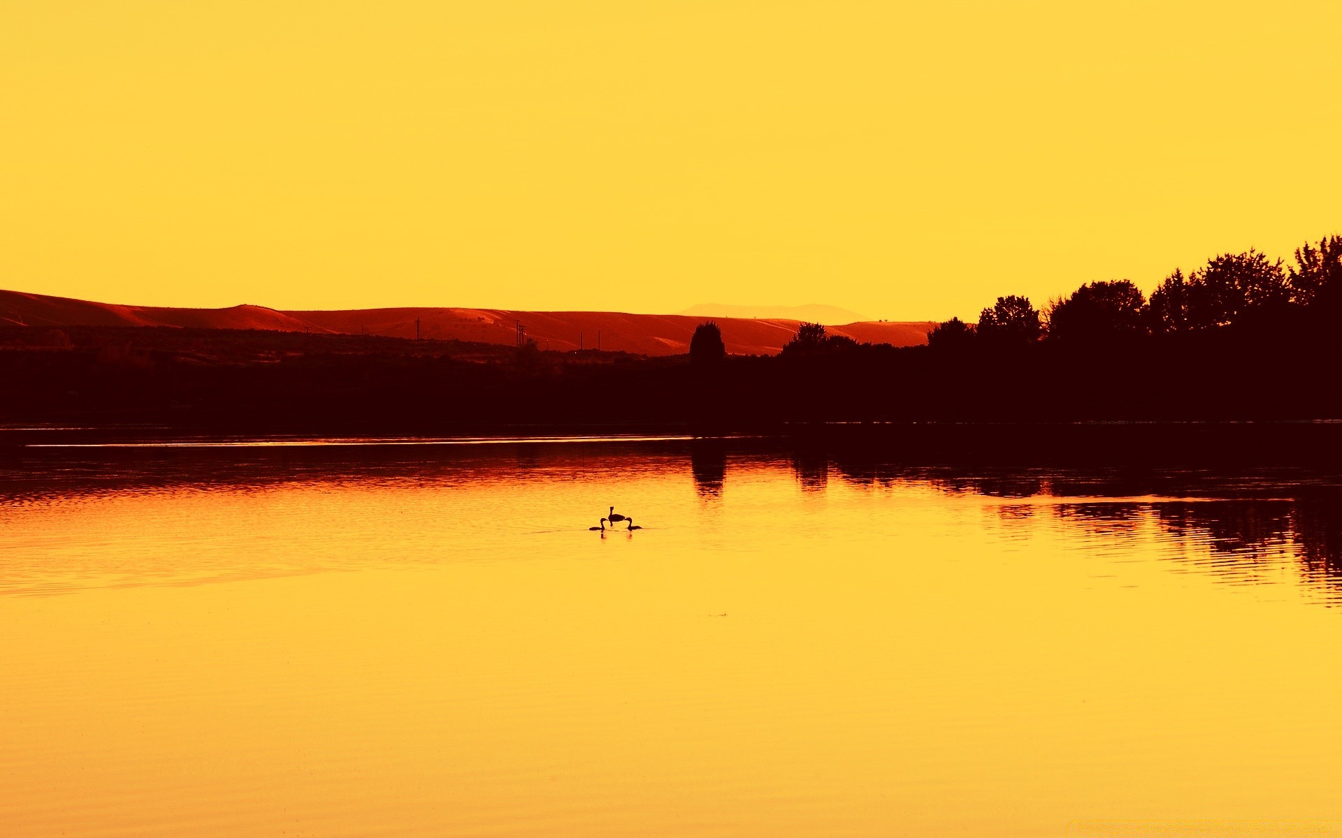 lake sunset water dawn evening reflection dusk landscape river backlit beach placid