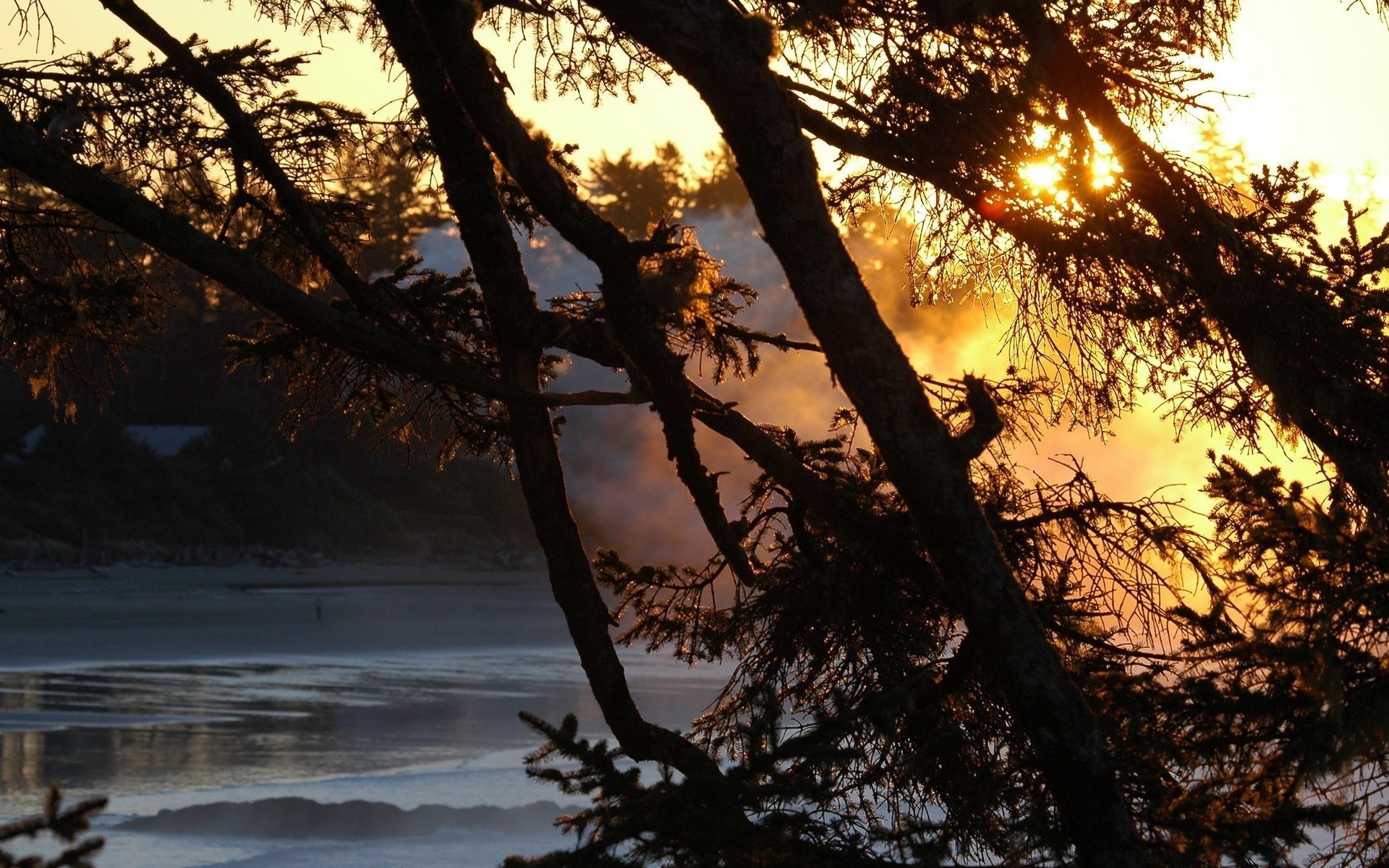 lago árbol paisaje amanecer naturaleza madera al aire libre puesta de sol sol buen tiempo agua rama noche otoño miércoles iluminado tiempo luz invierno parque