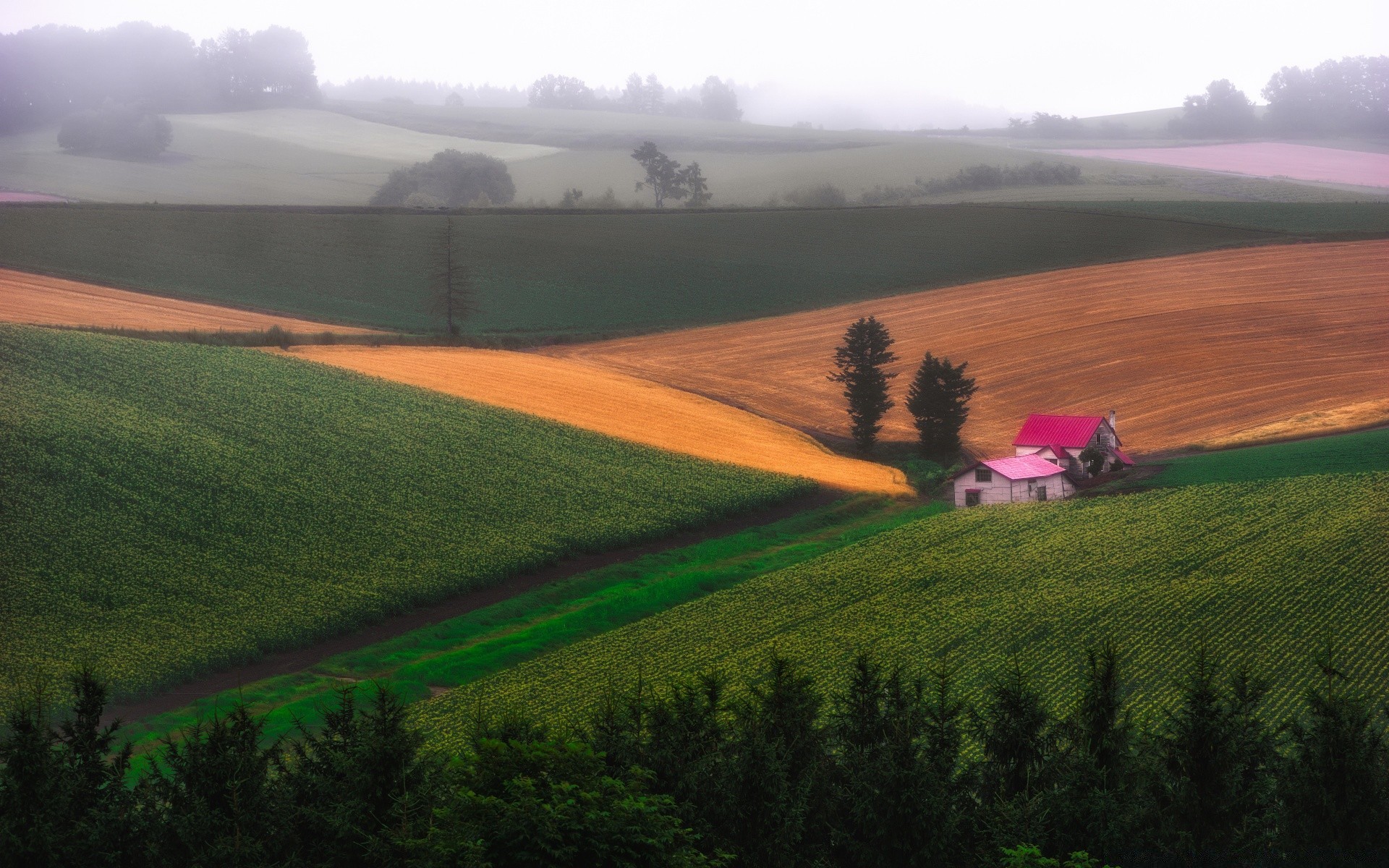 landschaft bebautes land landwirtschaft landschaft im freien landschaft bauernhof feld pastoral baum tageslicht himmel natur hügel gras