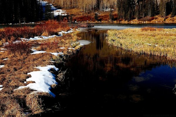 Spring landscape river and forest