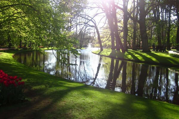 View of a picturesque stream in a beautiful and well-maintained park