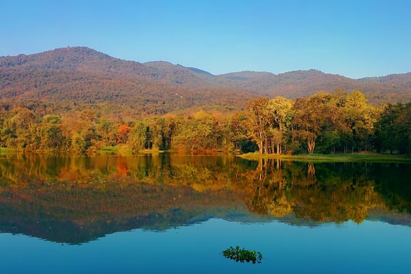शरद ऋतु परिदृश्य। ओज़र्न में साफ पानी