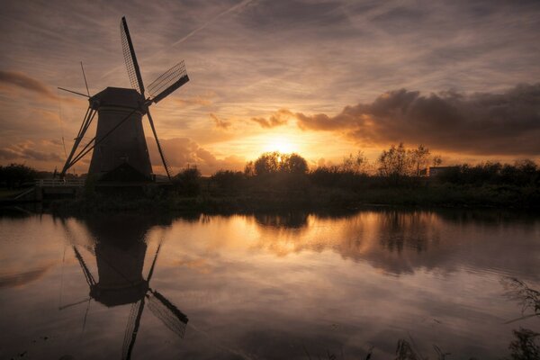 Varicelle sur le lac sur fond de coucher de soleil