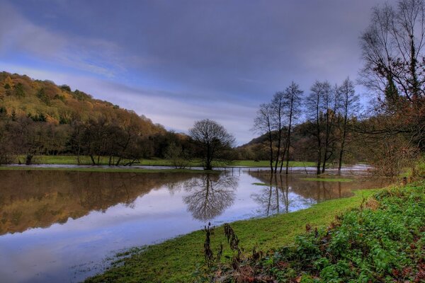 Naturlandschaft Fluss und Bäume