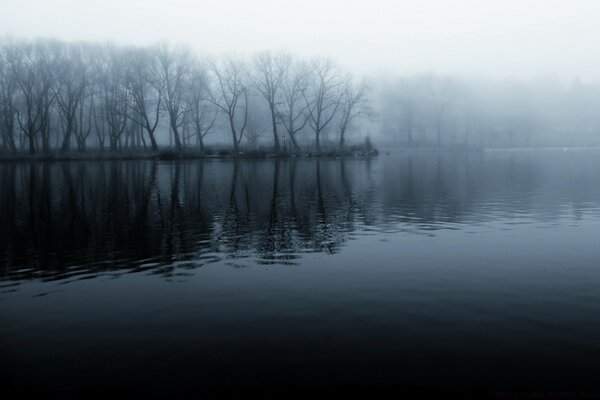 Misty dawn on the lake in the forest