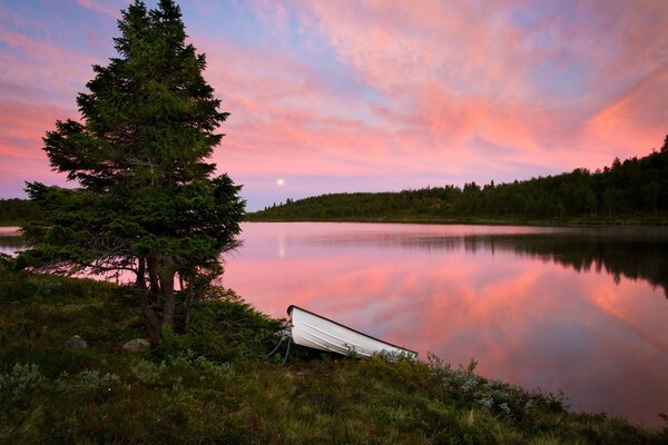 A tree and a boat on a sunset background