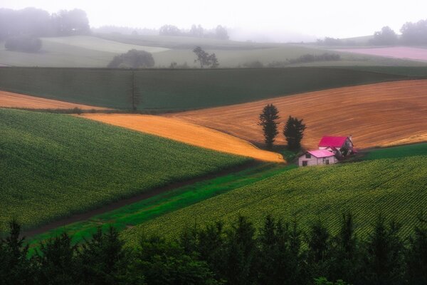 Kleines Dorfhaus inmitten grüner Wiesen