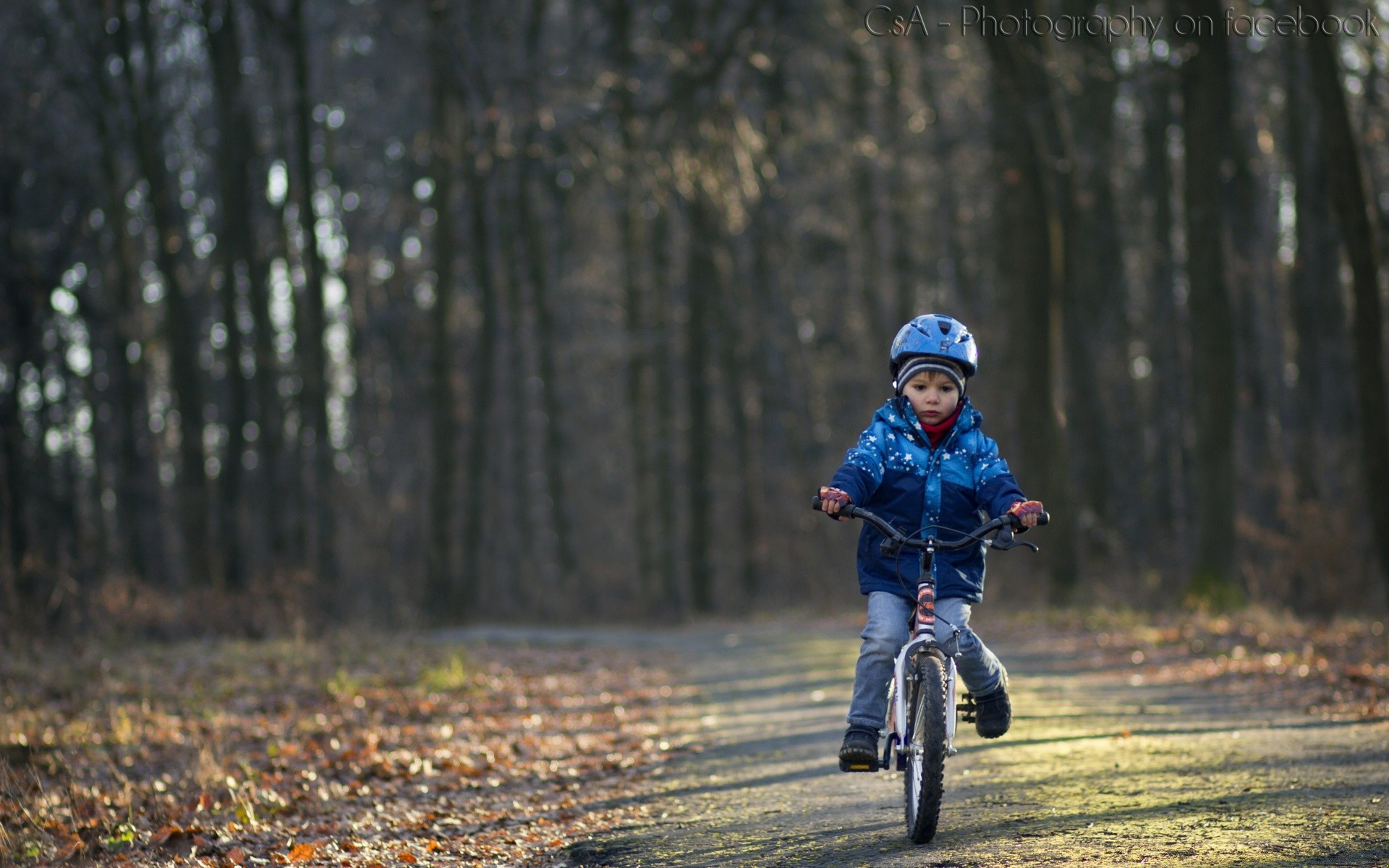 cycling wheel cyclist sitting bike child recreation road fun park leisure wood one outdoors biker tree motion nature boy adventure