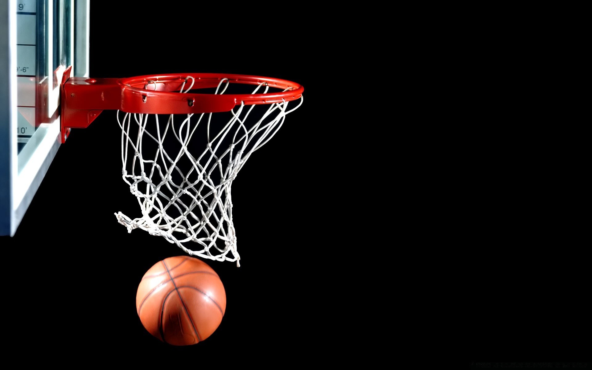 basket palla basket sport concorso isolato web gioco azione desktop sfera