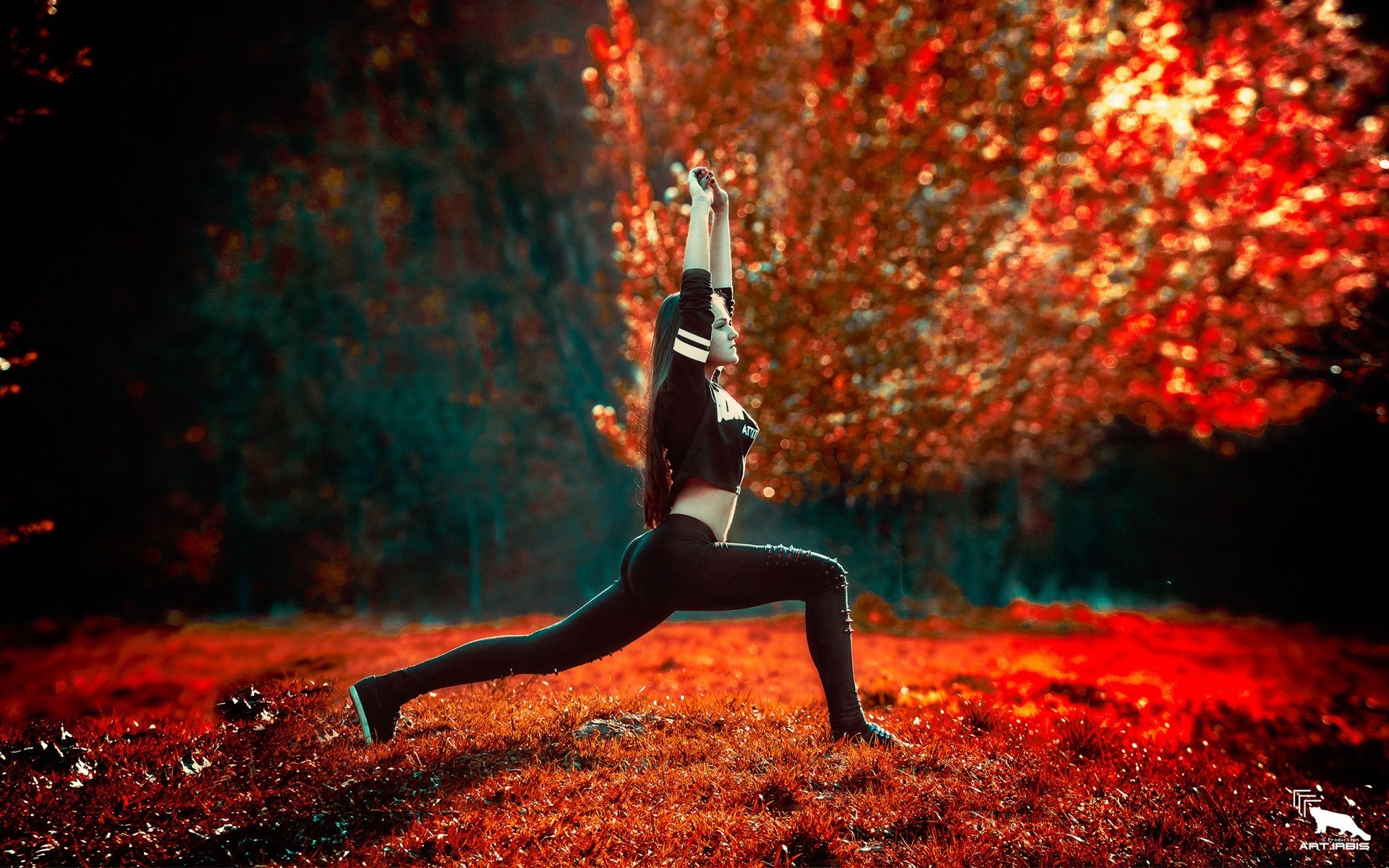 fitness wettbewerb ein herbst erwachsener blatt baum im freien festival licht