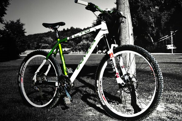 Hermosa bicicleta sobre fondo blanco y negro