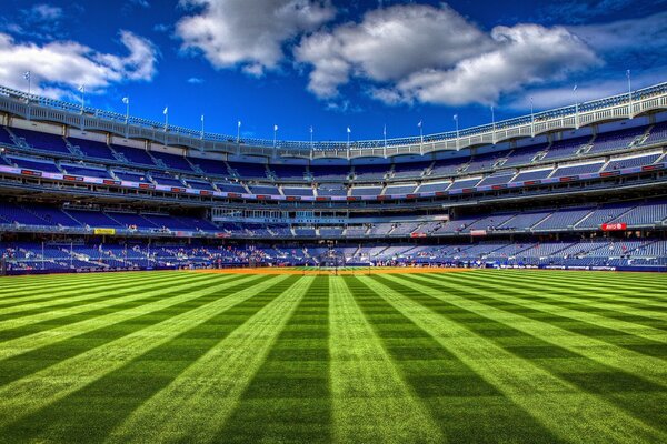 Stadium. Large-scale structures. Football field